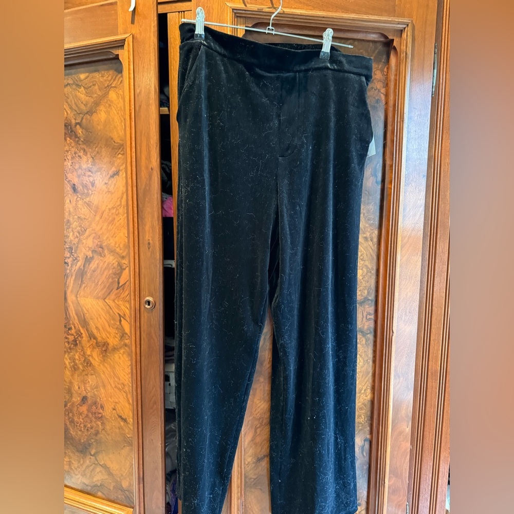 Velvet pants large nwt